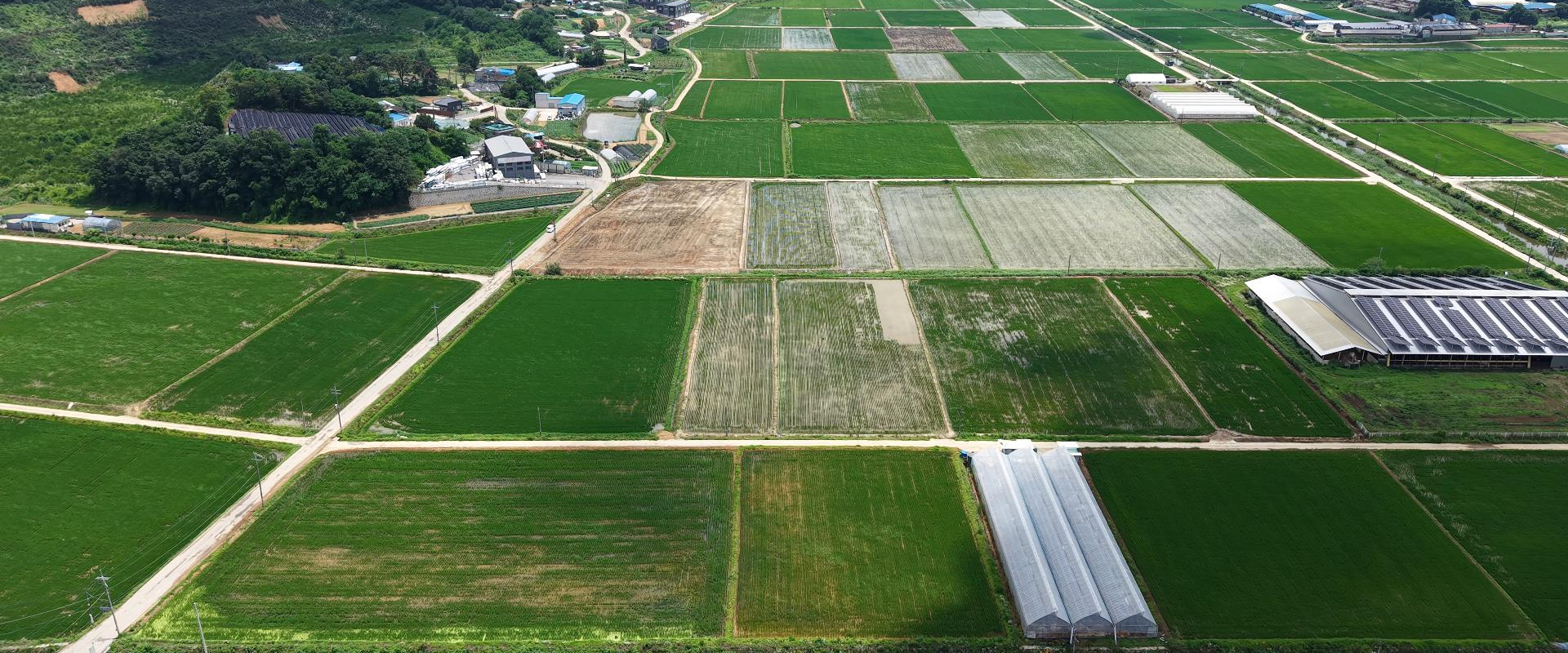 메인 비주얼 이미지